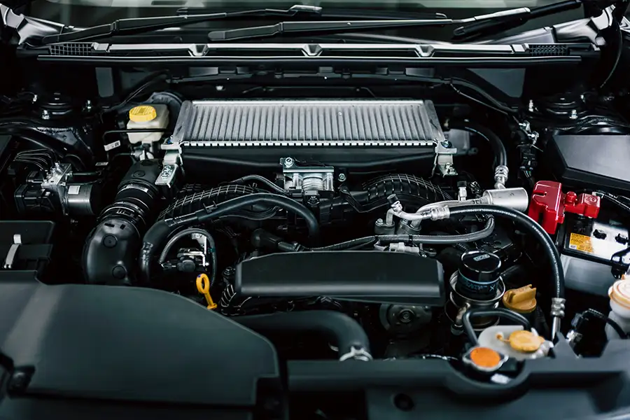 Subaru WRX vận hành trên đường đèo